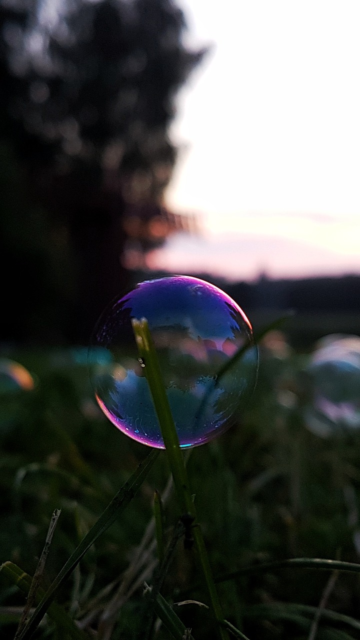 bubbles soap bubbles landscape free photo