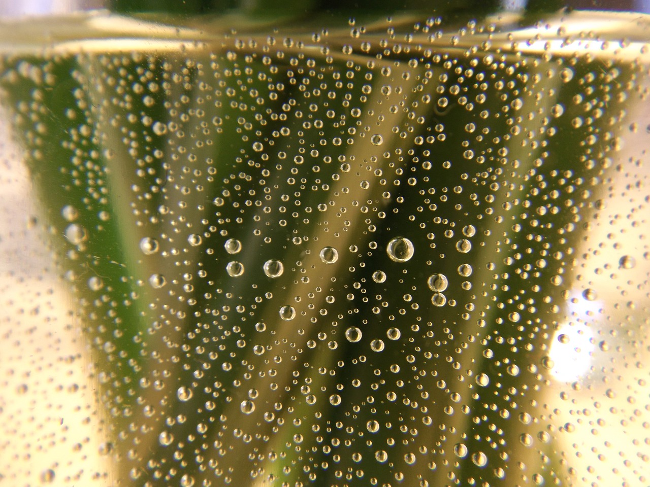 bubbles  water  green free photo