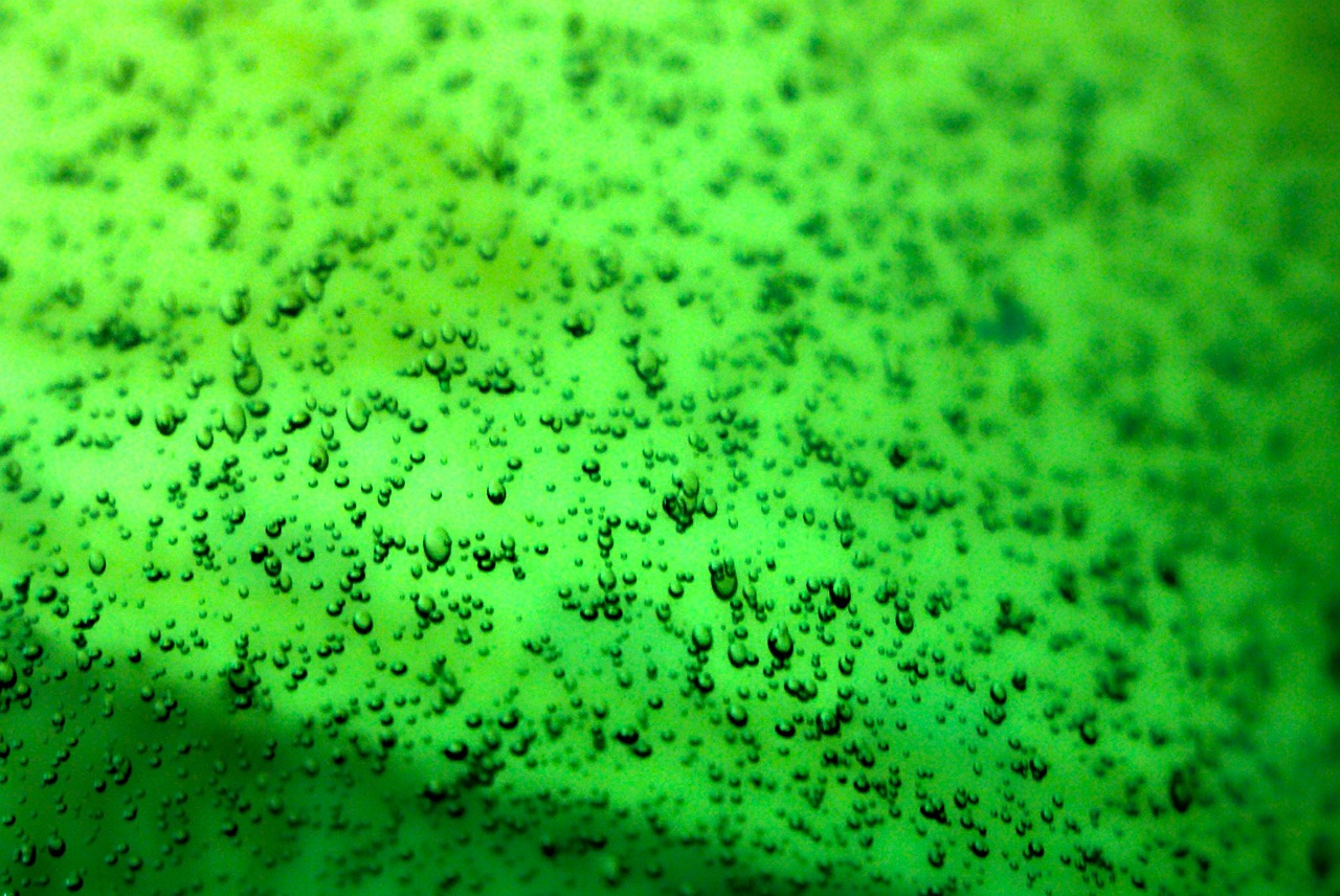 bubbles glass green free photo