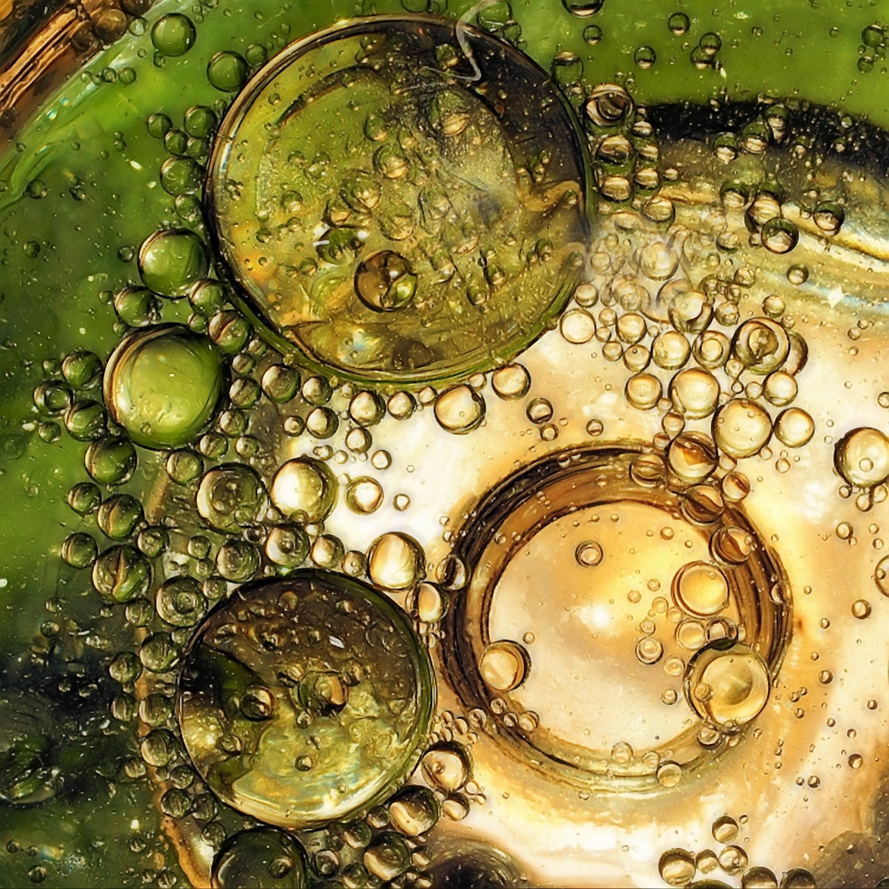 bubbles fantasy green free photo