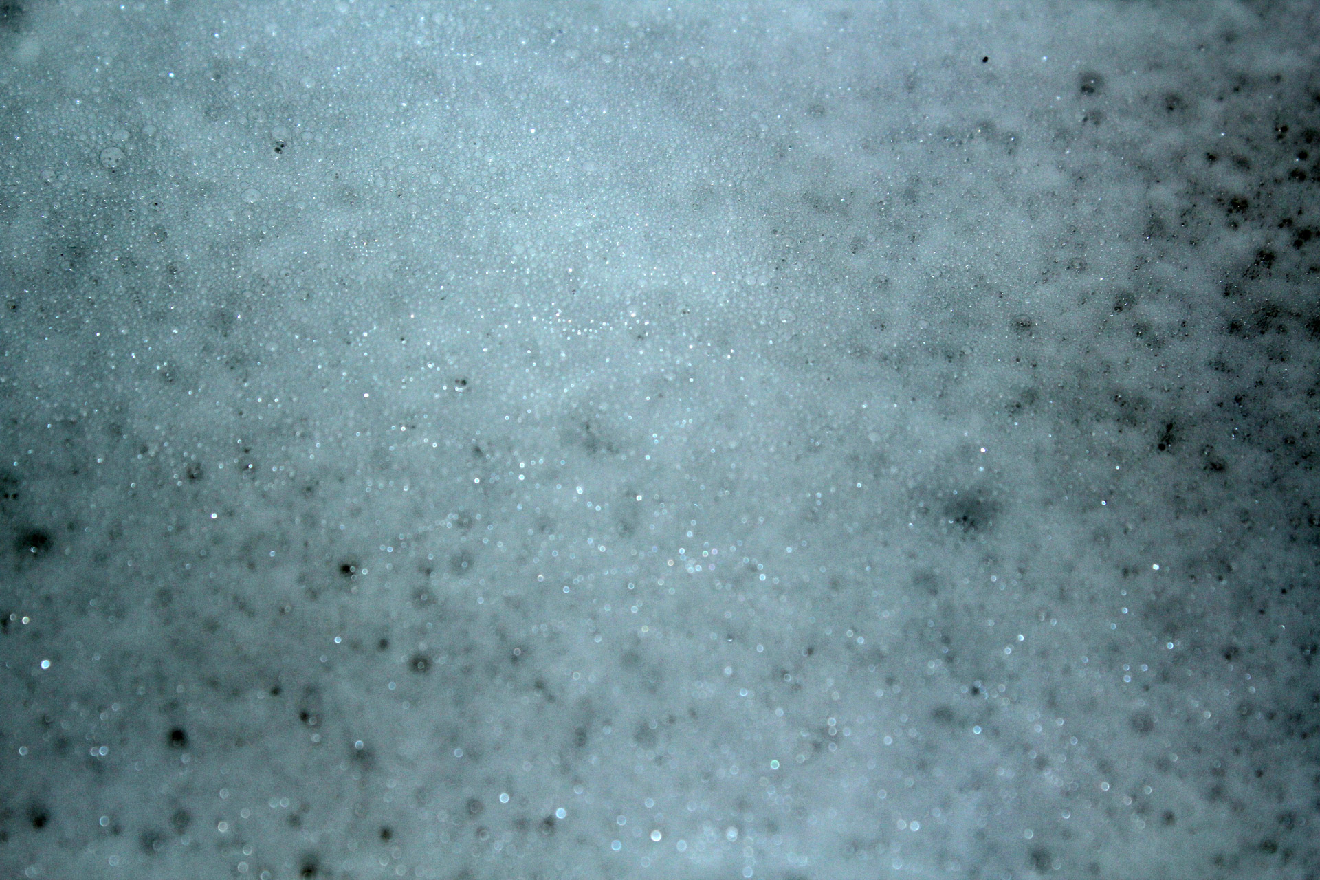 bubbles white background free photo