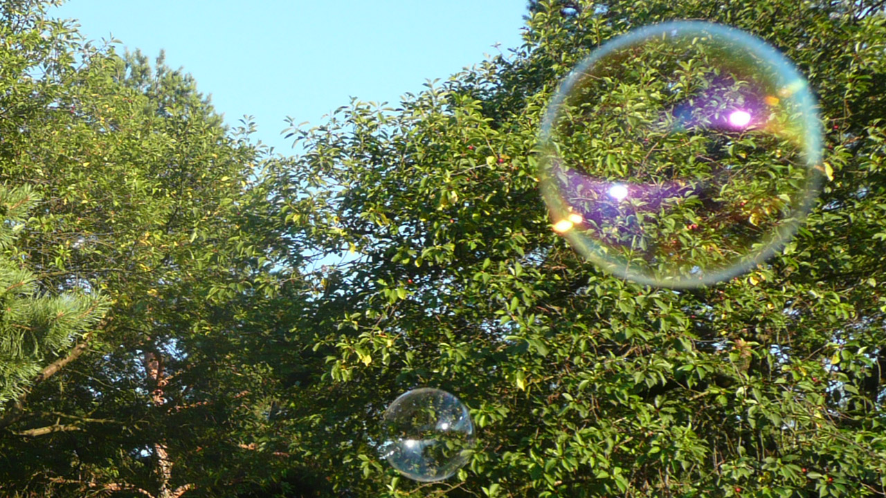 bubbles flying bubbles free photo