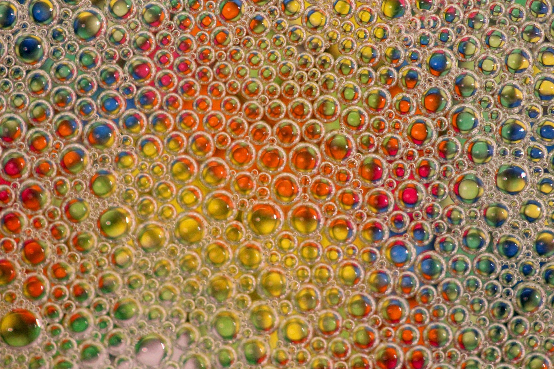 bubbles color colorful free photo