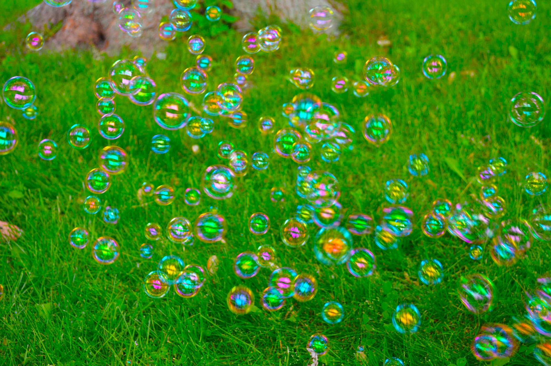 bubbles summer fun free photo