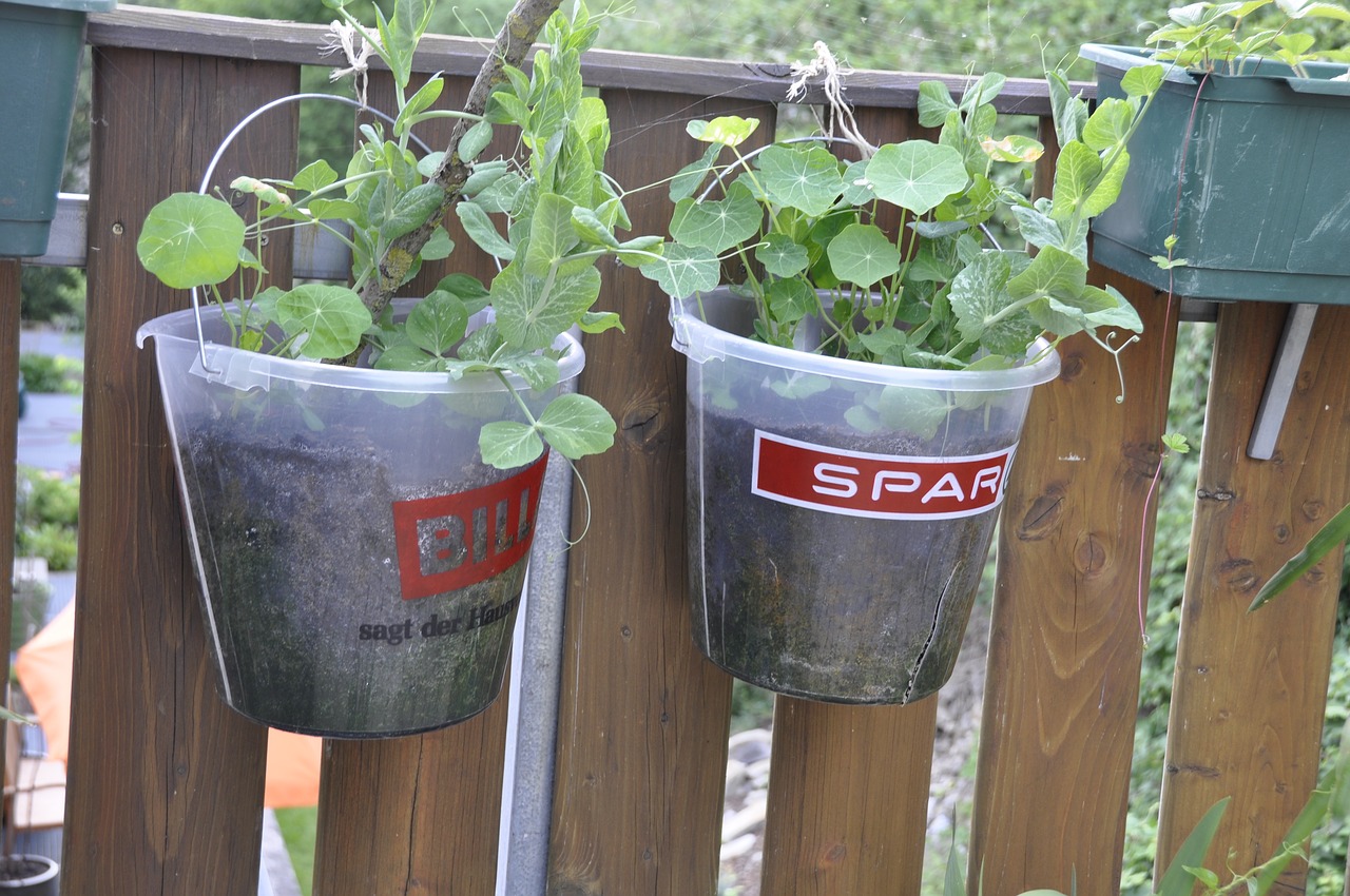 bucket diy planting pot free photo