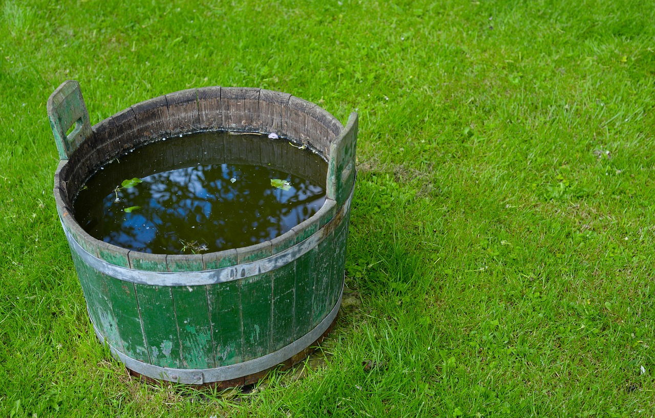 bucket  water  green free photo