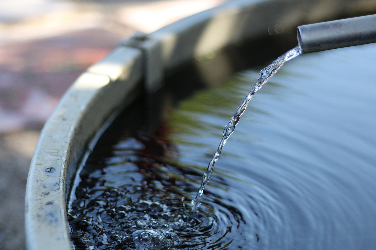 bucket  water  drop free photo