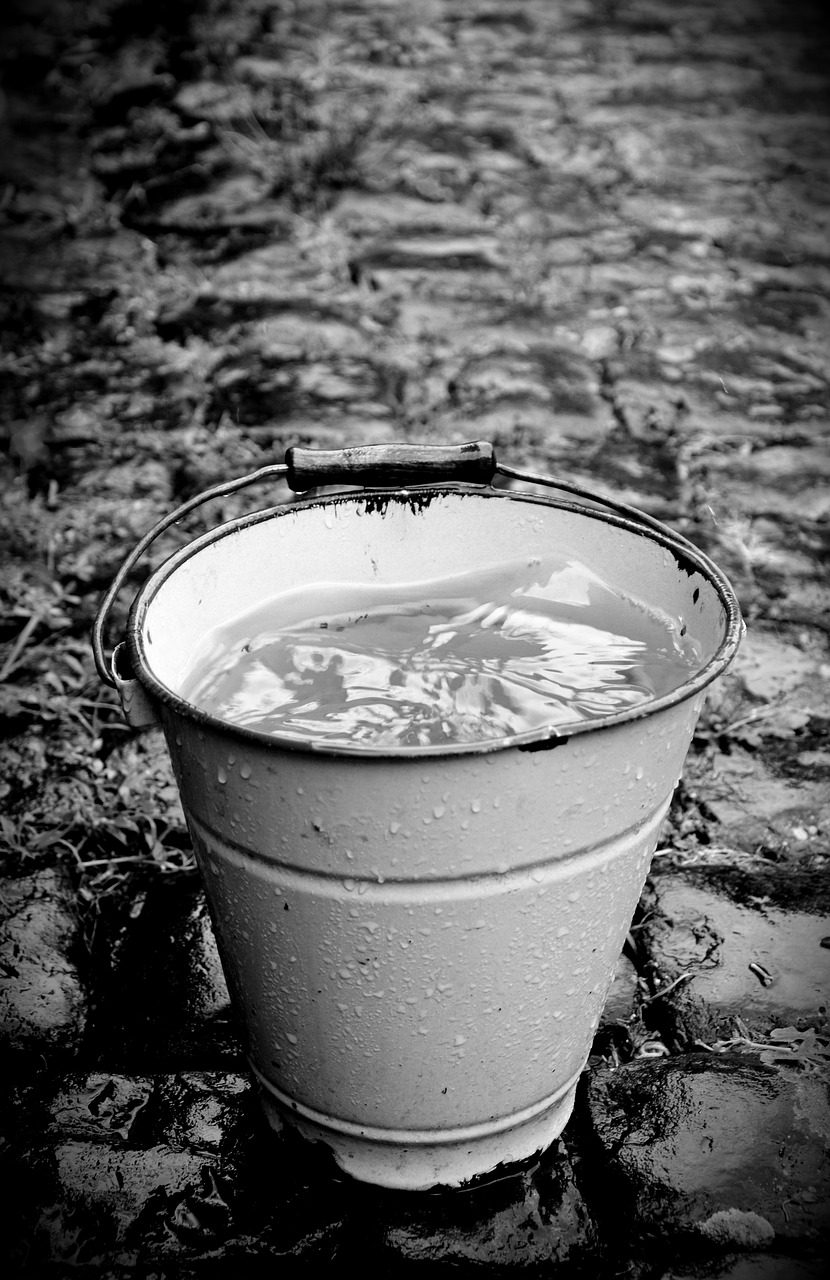 bucket  wet  rain free photo