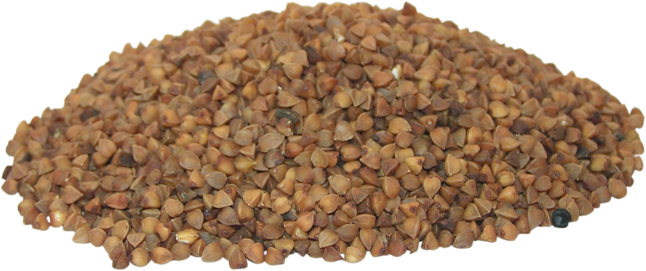 buckwheat grain fried grits free photo
