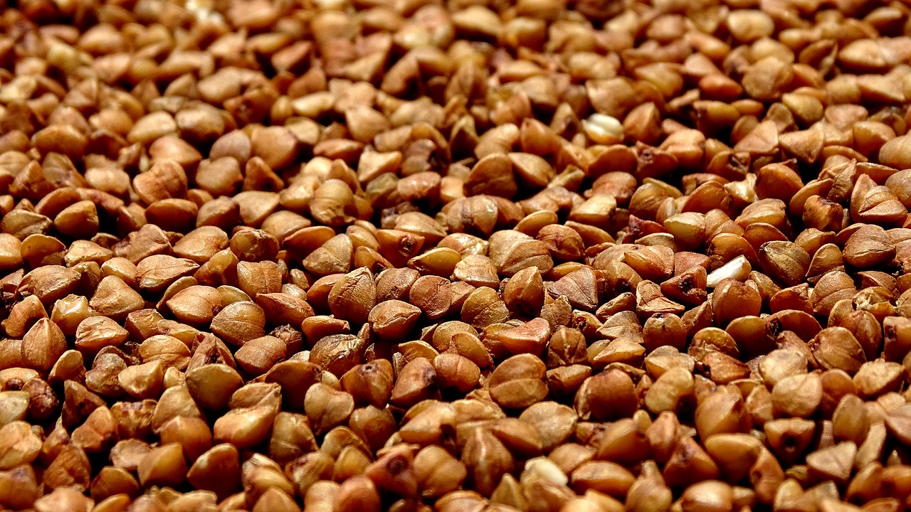 buckwheat  closeup  grain free photo