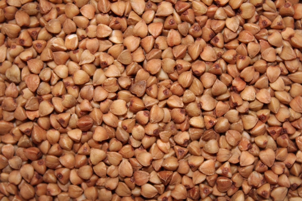 buckwheat  krupa  healthy eating free photo