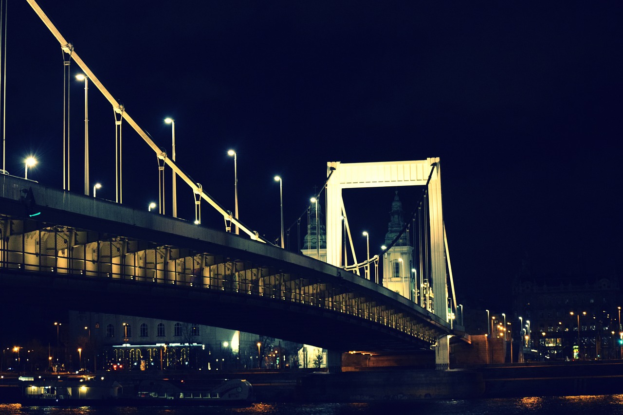 budapest bridge elizabeth bridge free photo