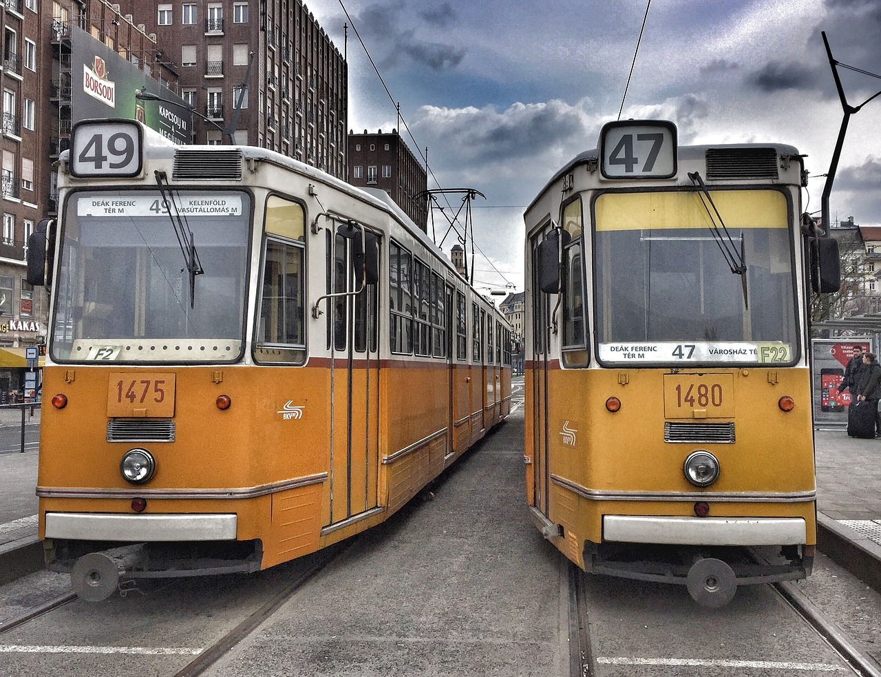 budapest trams city free photo