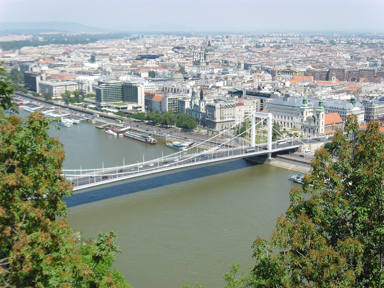 budapest capital bridge free photo