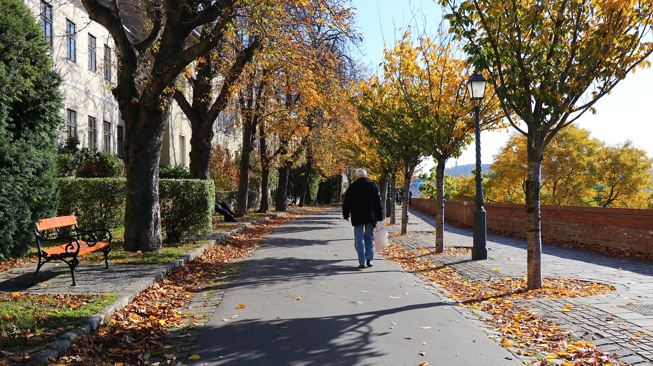 budapest buda castle promo free photo