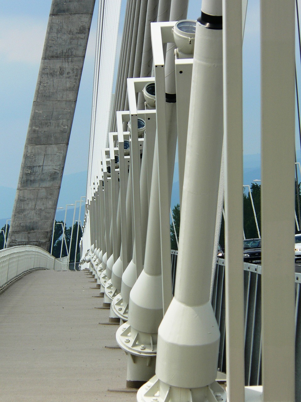 budapest megyeri bridge architecture free photo