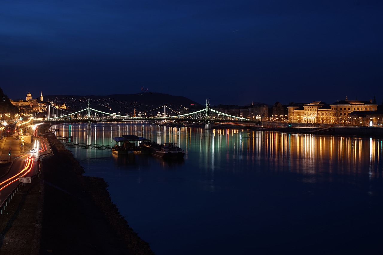 budapest danube at night free photo