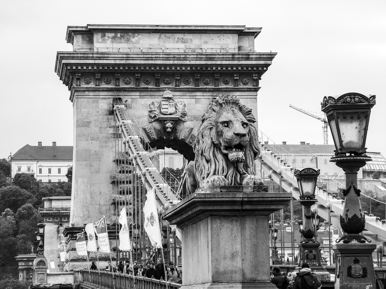 budapest hungary bridge free photo