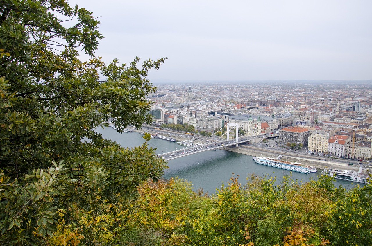 budapest  landscape  hungary free photo