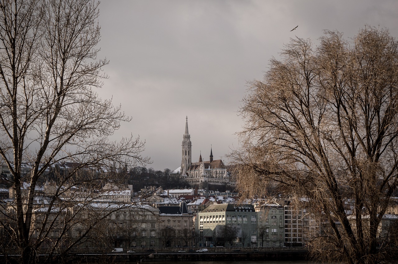 budapest  winter  hungary free photo