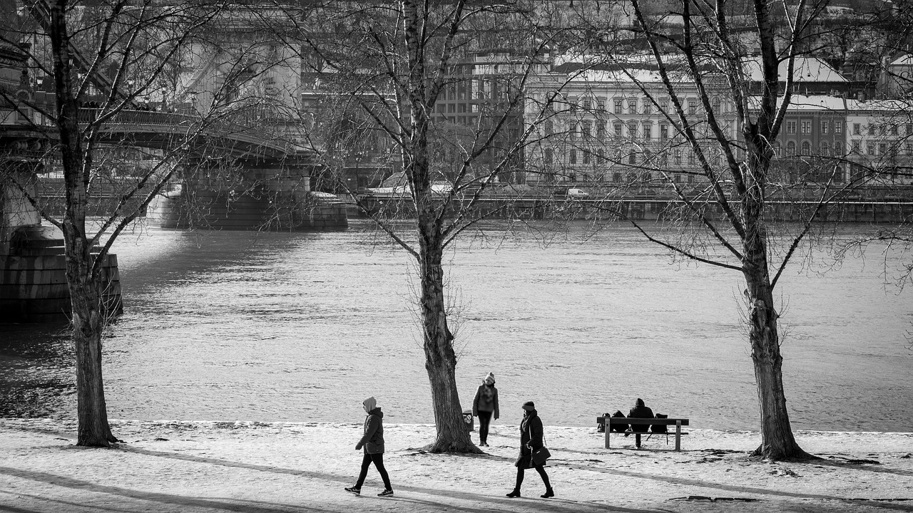 budapest  winter  hungary free photo