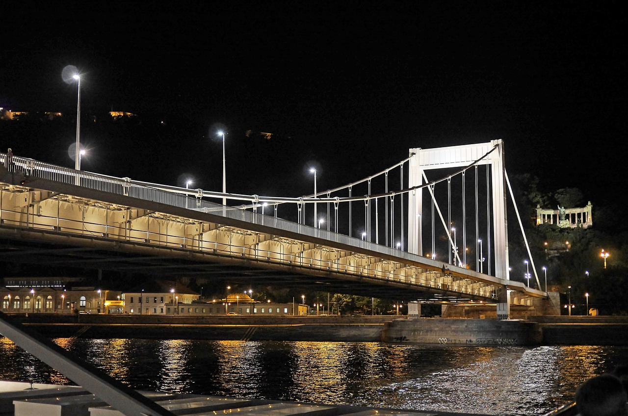 budapest at night elisabeth bridge gellert monument free photo