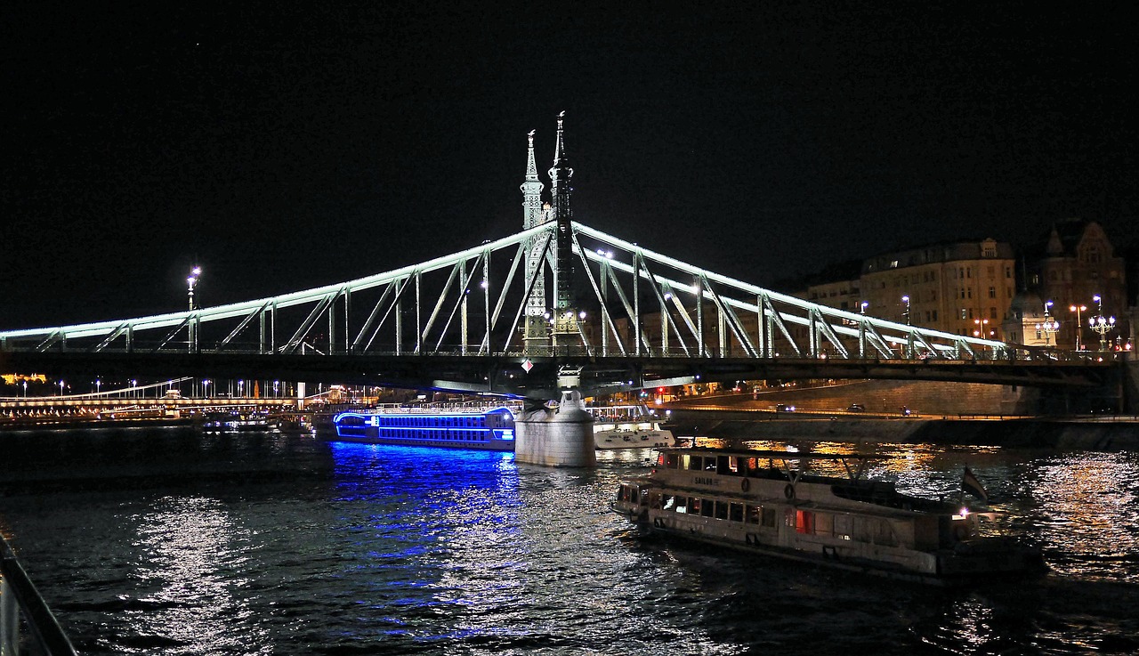 budapest at night liberty bridge danube free photo