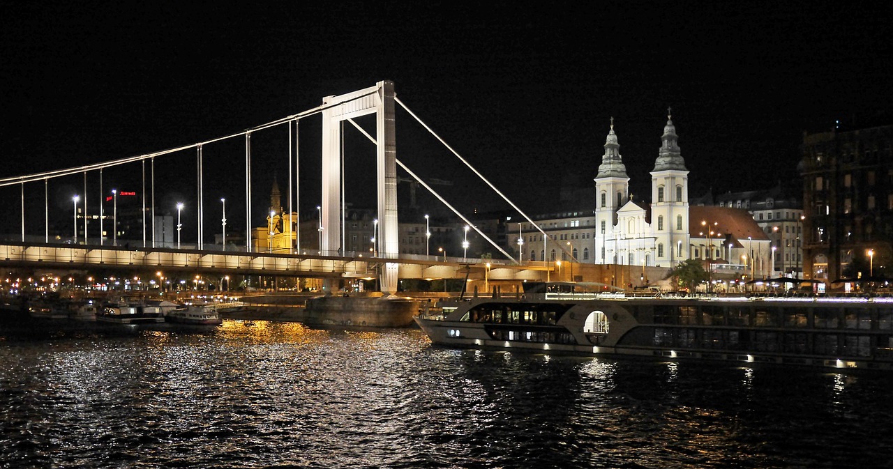 budapest at night elisabeth bridge suspension bridge free photo