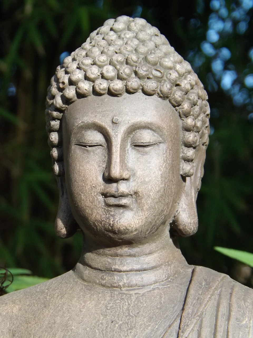 buddha divinity god free photo