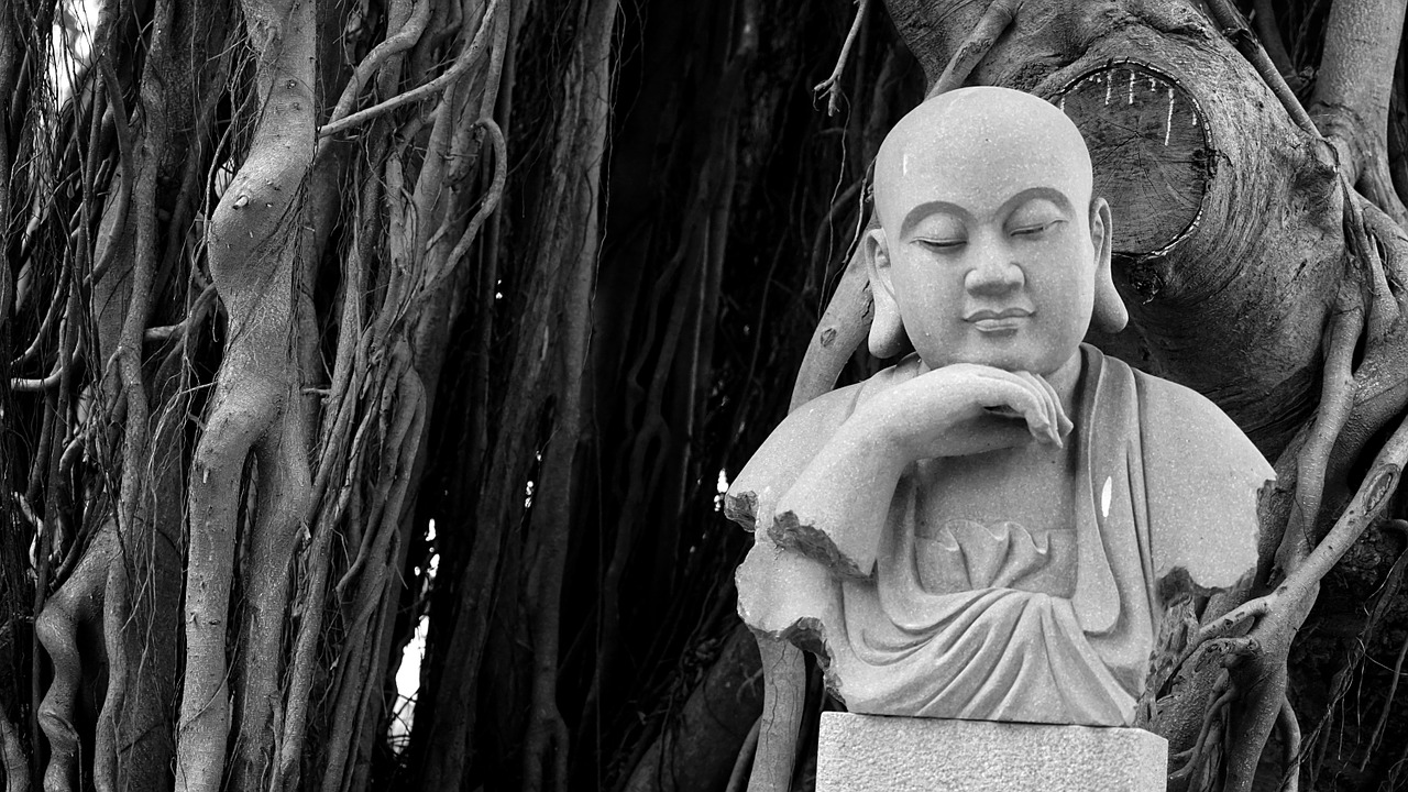 buddha banyan tree religion free photo