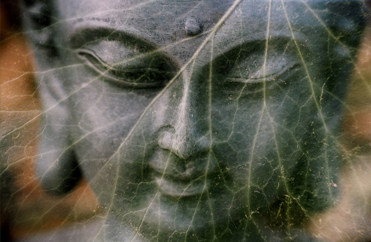 buddha leaf religion free photo