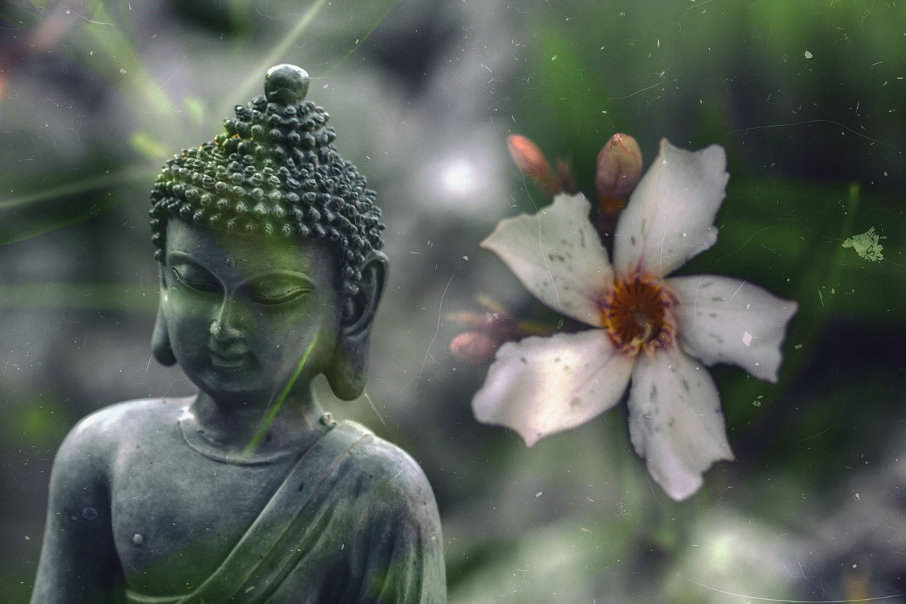 buddha flower buddhism free photo