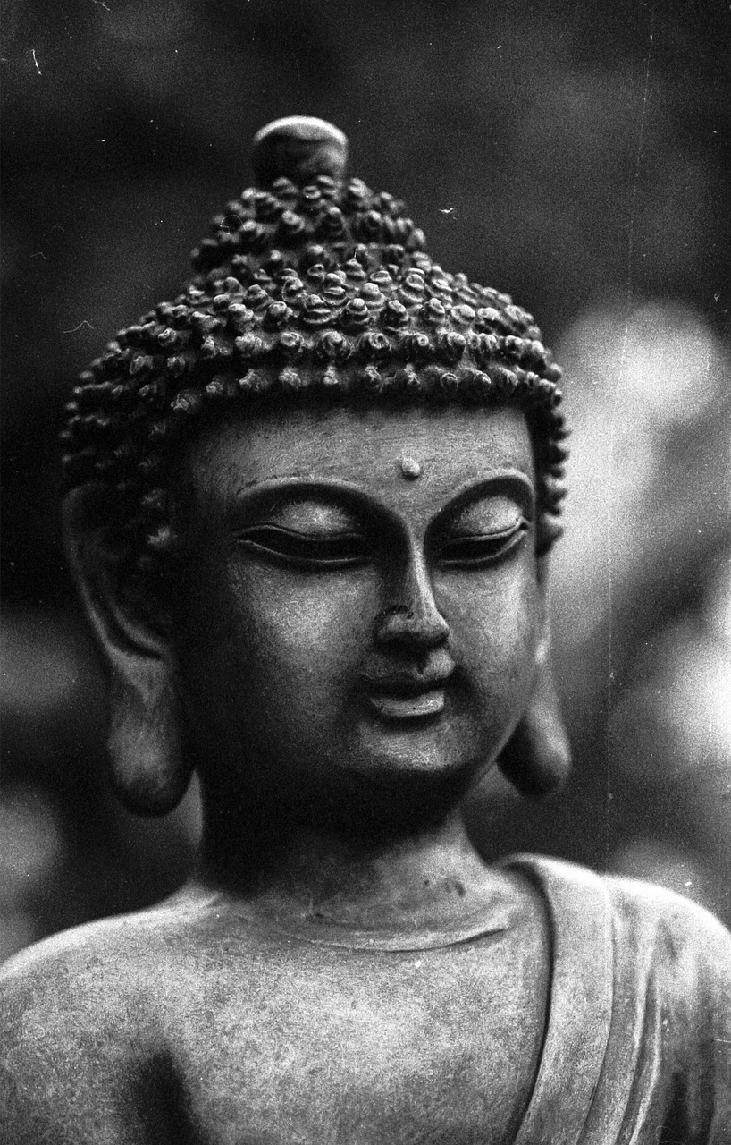 buddha black and white monochrome free photo