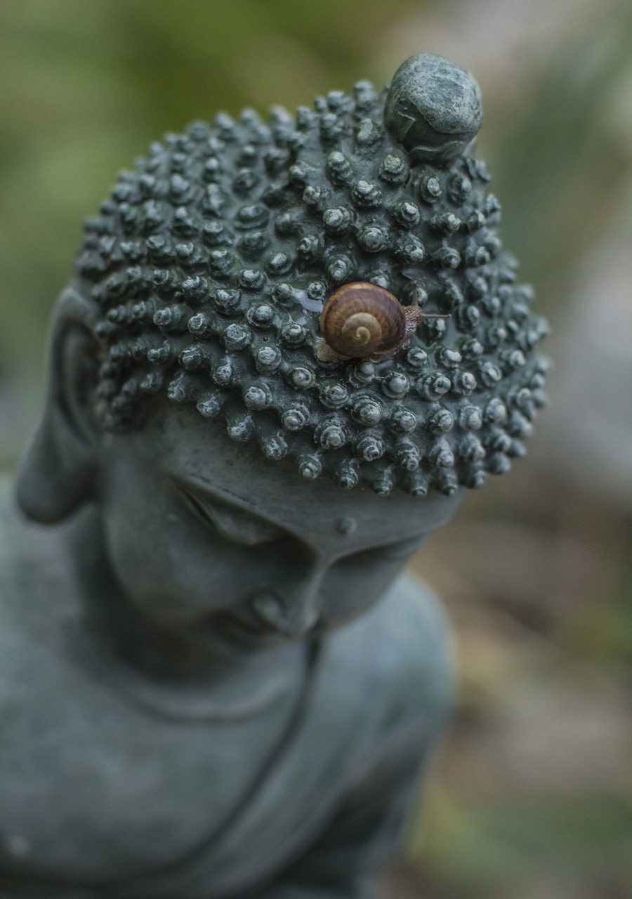 Download free photo of Buddha,snail,buddhist,religion,pure - from  