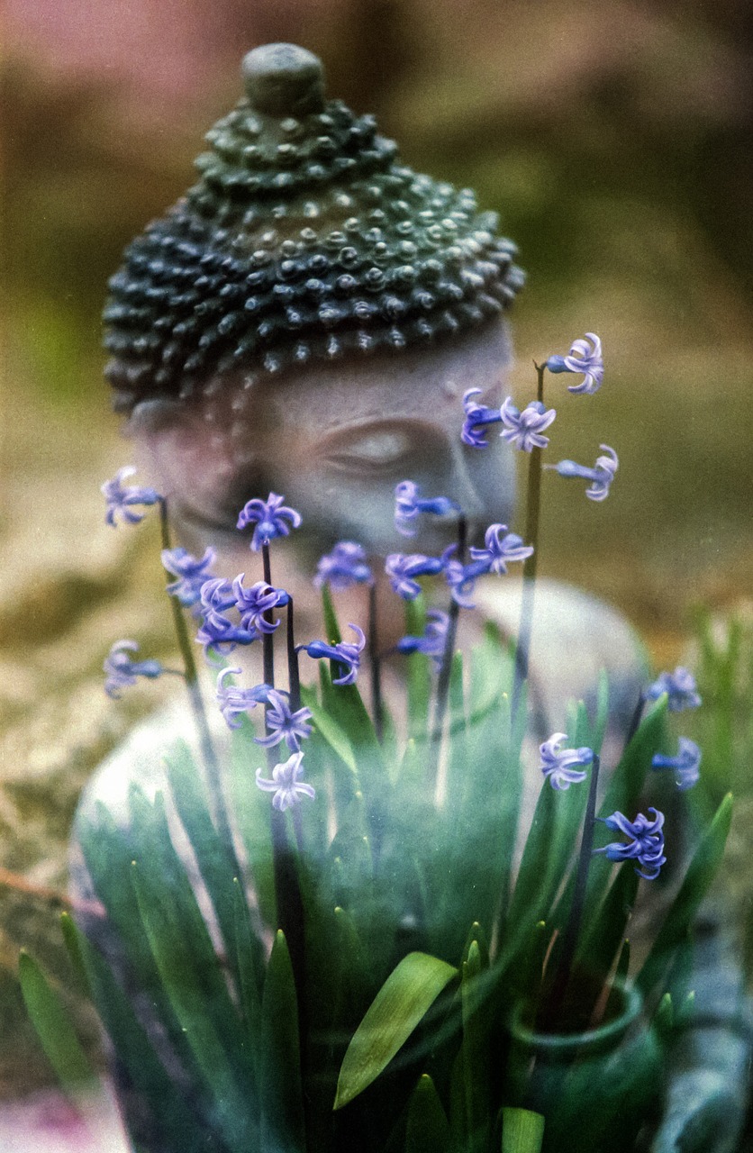 buddha statue calm free photo