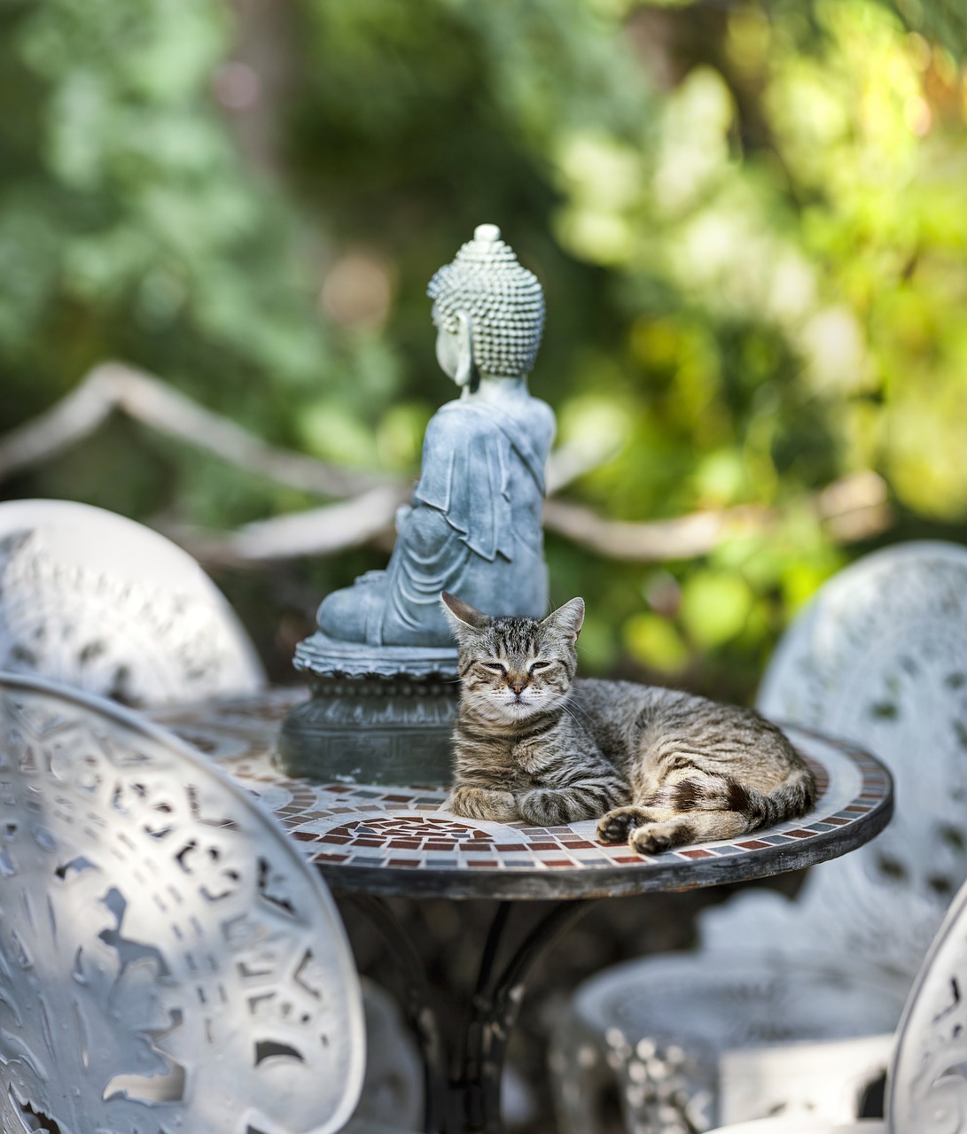 buddha meditation statue free photo