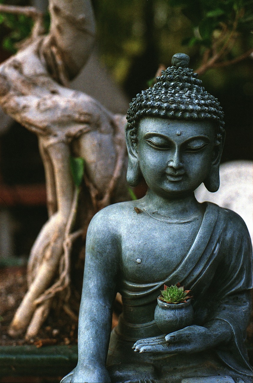 buddha meditation statue free photo