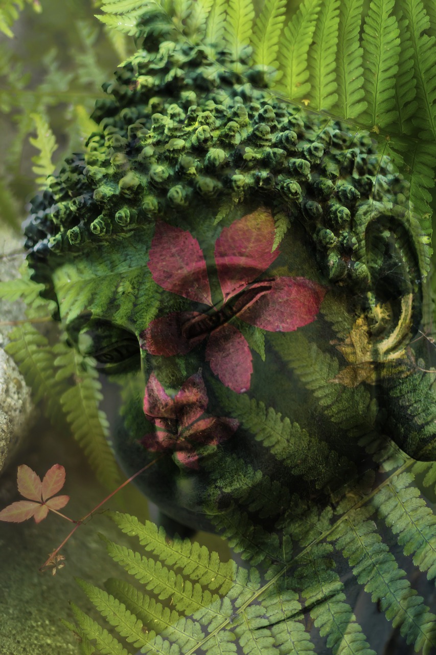 buddha leaf religion free photo