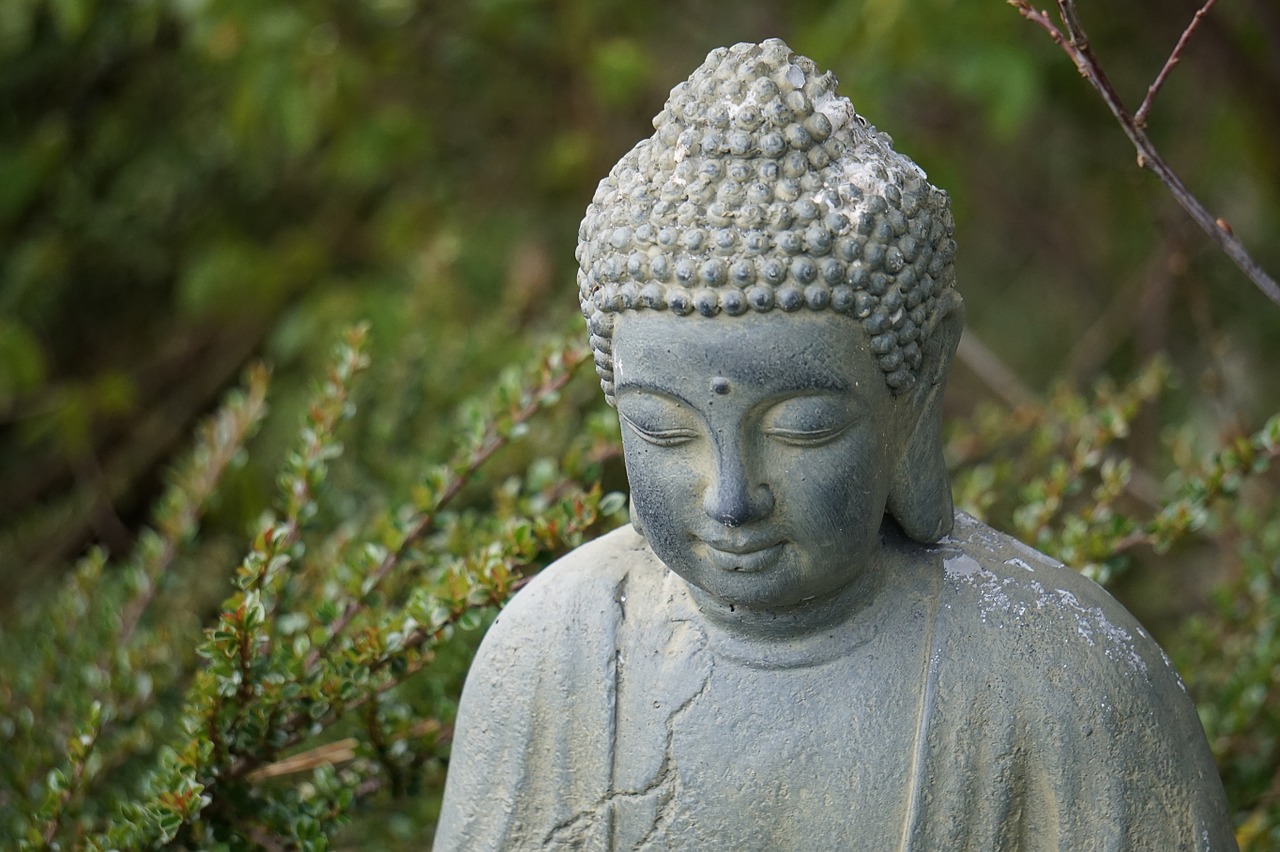 buddha sitting portrait free photo