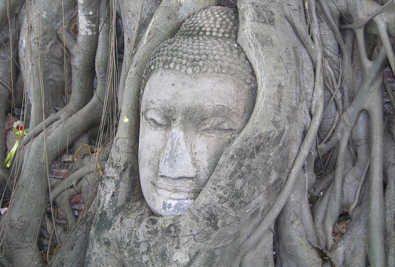 buddha mystical tree bangkok travel free photo