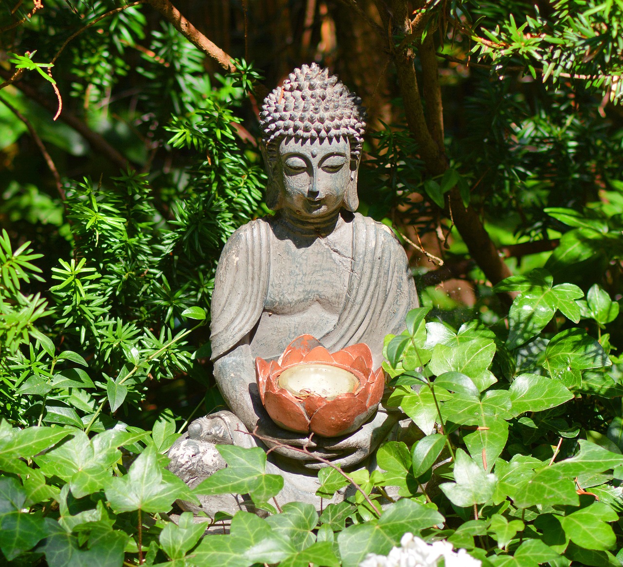 buddha buddha statue statue free photo