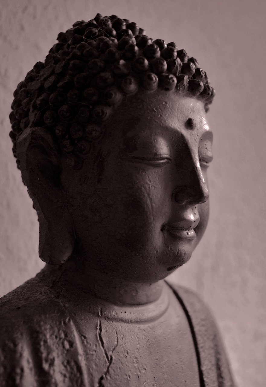 buddha statue bust free photo