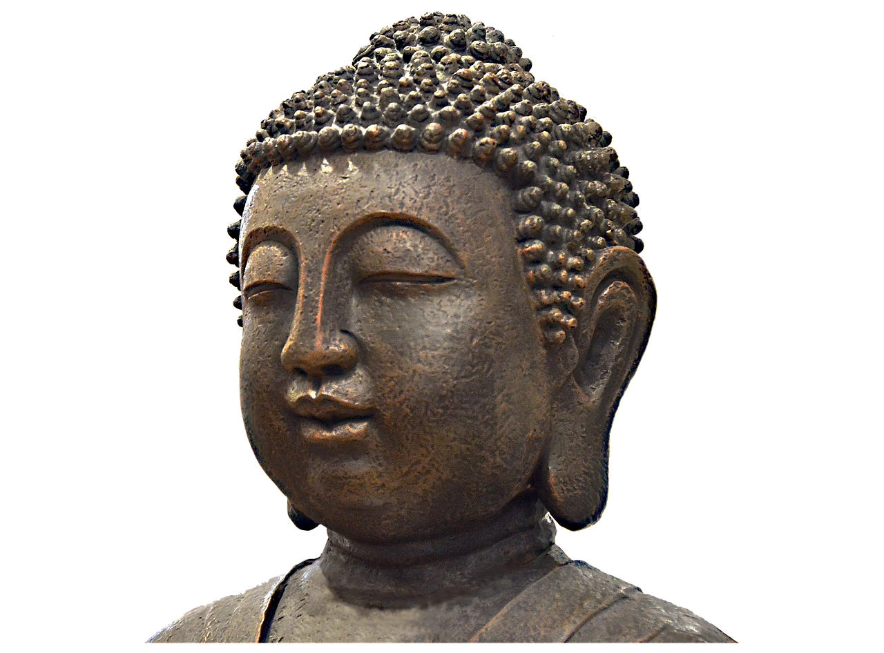 buddha buddha figure head free photo