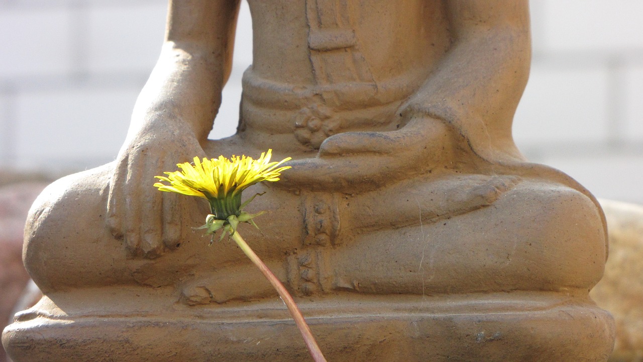 buddha flower asia free photo