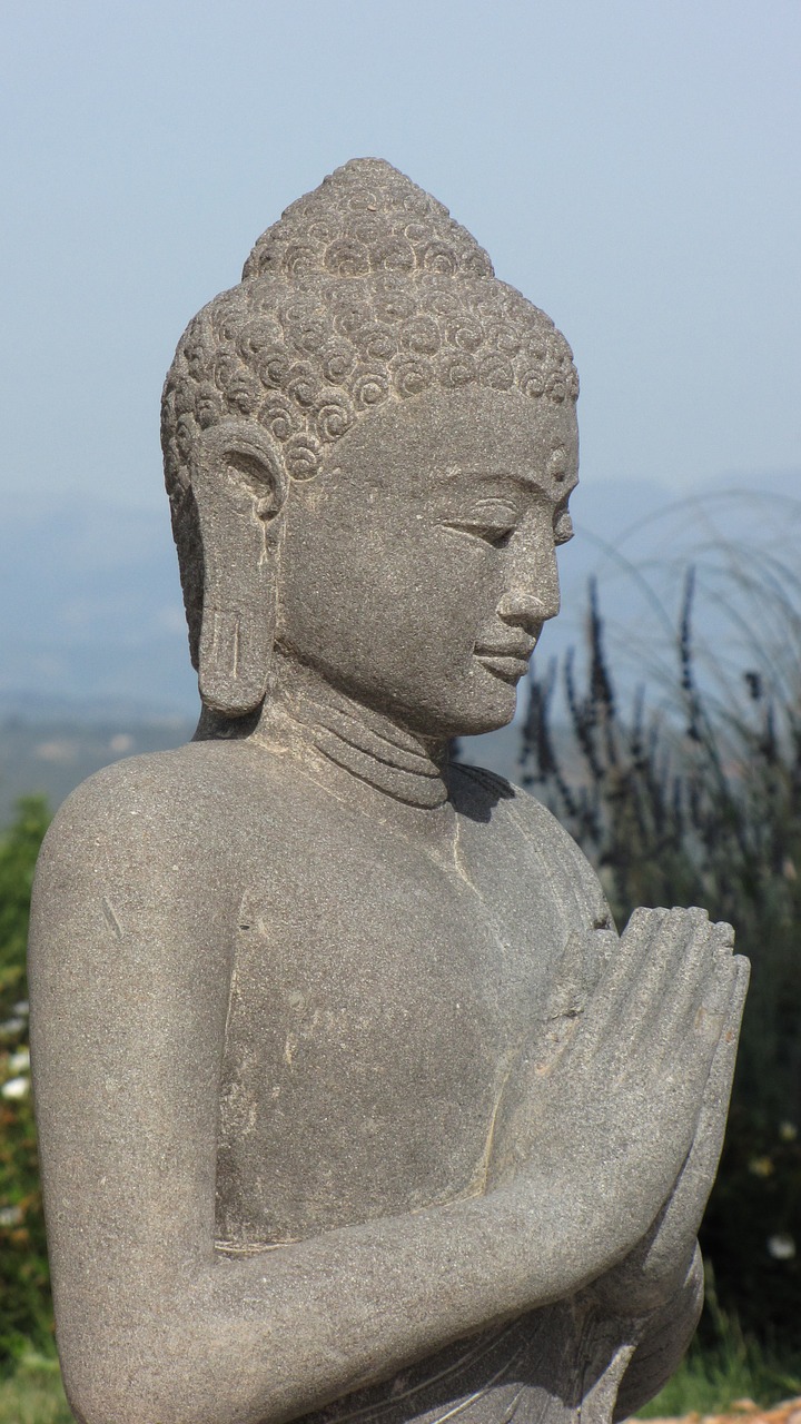 buddha prayer h free photo