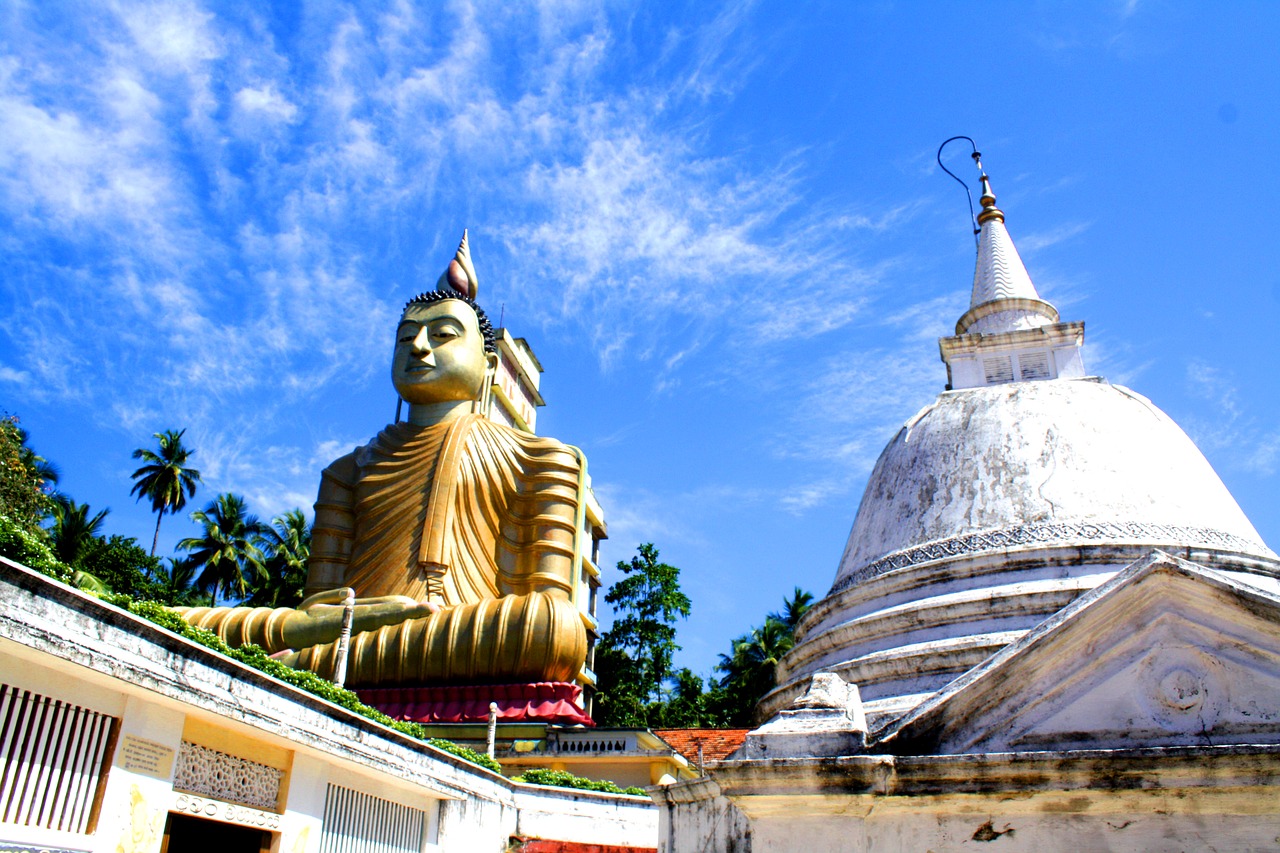buddha sri lanka statue free photo