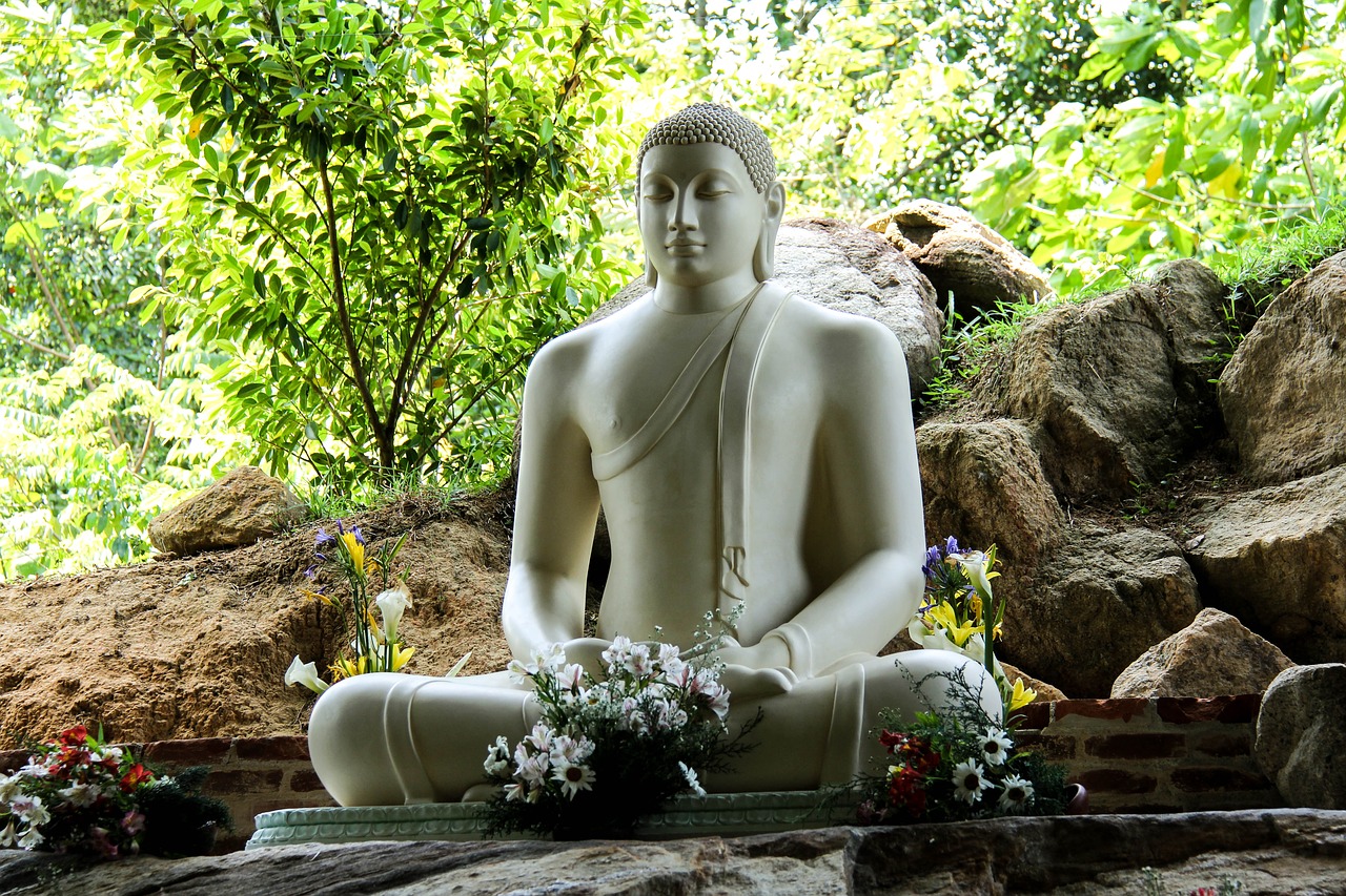 buddha sri lanka mahamevnawa free photo