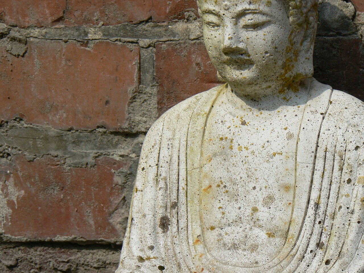 buddha wall background free photo