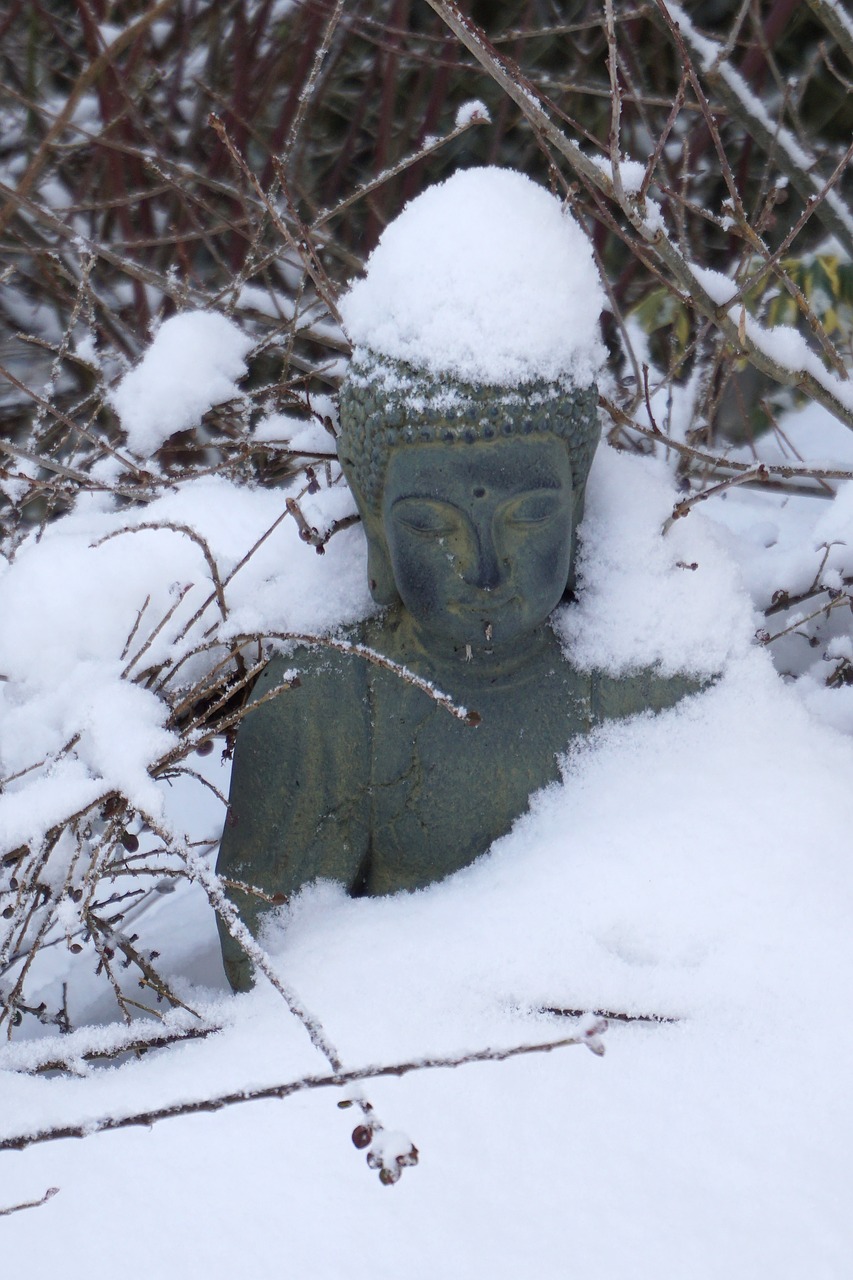 buddha snow winter free photo