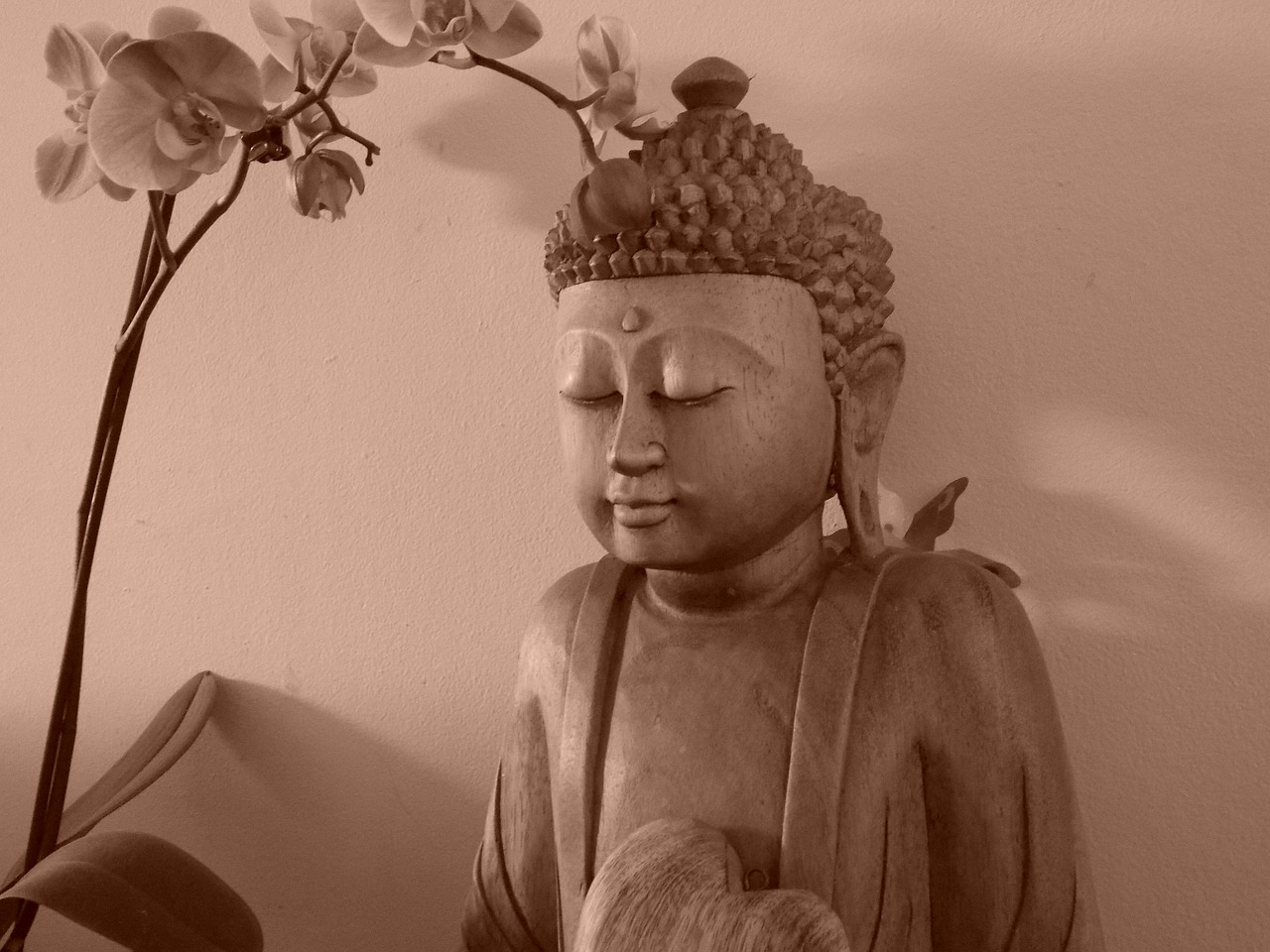 buddha peace tranquility free photo